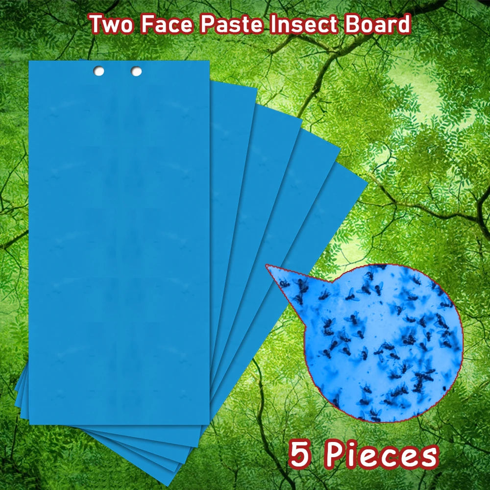 Insect Board Paste Double-sided "5 pieces"