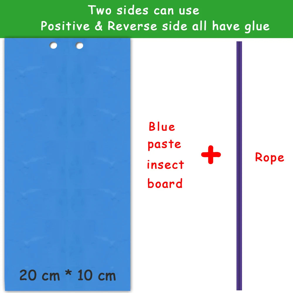 Insect Board Paste Double-sided "5 pieces"