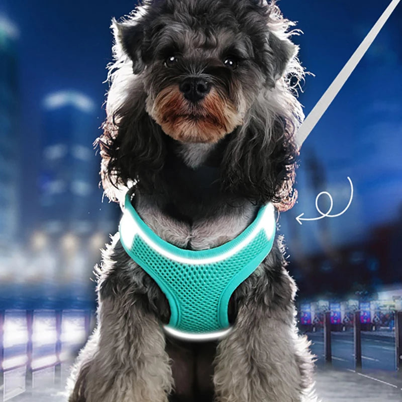 Dog Cat Harness Vest