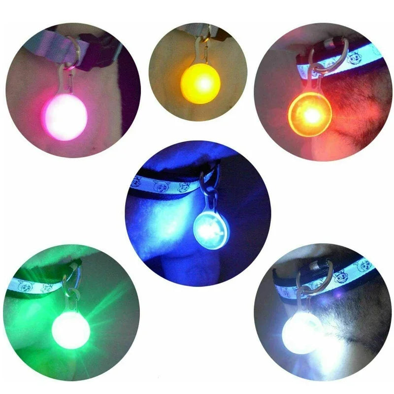 Luminous Dog Cat Collar